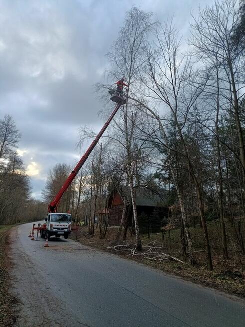 Mycie elewacji dachów oraz malowanie wycinka drzew.