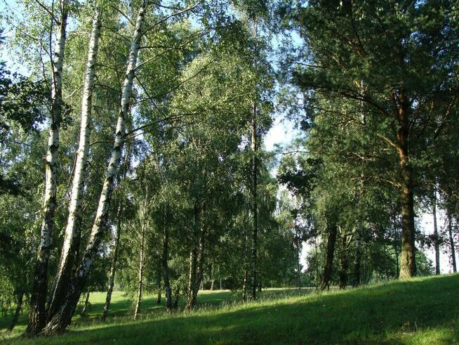 7 działek siedliskowo - inwestycyjnych o ogól. pow. 19,19 ha