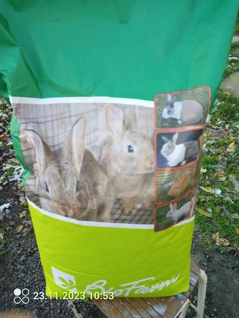 punkt sprzedaży pasz dla drobiu