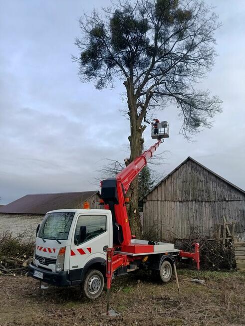 Mycie elewacji dachów oraz malowanie wycinka drzew.