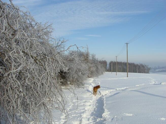 7 działek siedliskowo - inwestycyjnych o ogól. pow. 19,19 ha