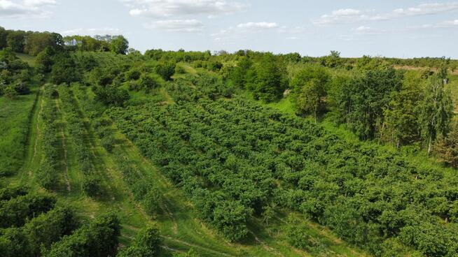 Działki budowlane, rolne - Sandomierz Poscaleniowy