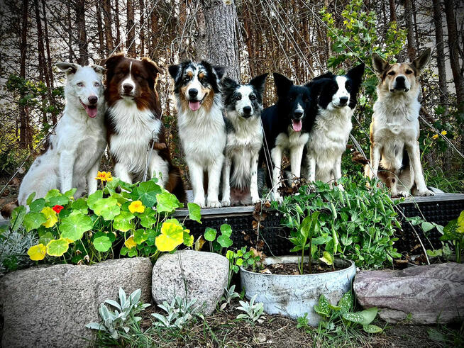 Całoroczny Drewniany Dom nad Jeziorem Głębokim na Kaszubach