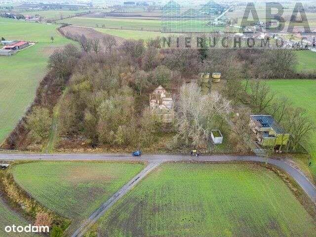 Dworek z pięknym, dużym parkiem w Racięcinie