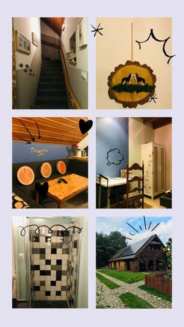 Całoroczny Drewniany Dom nad Jeziorem Głębokim na Kaszubach