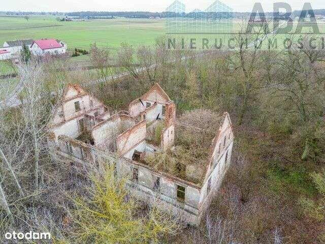Dworek z pięknym, dużym parkiem w Racięcinie