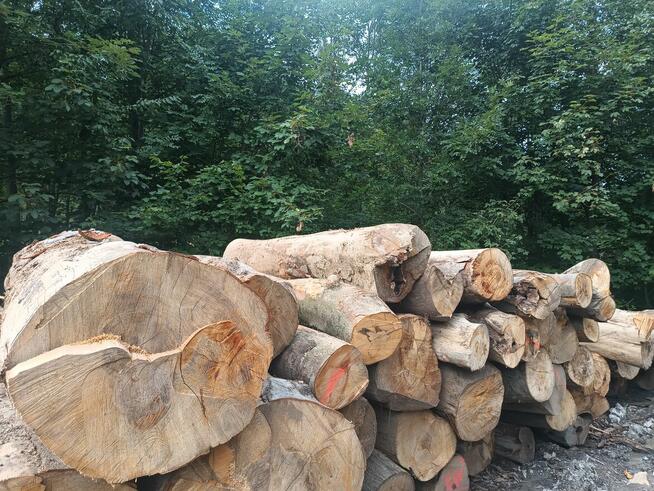 Drewno opałowe kominkowe buk