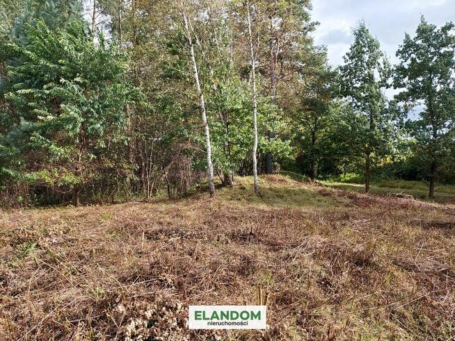 Działka Lipowo z wz. Cicha okolica