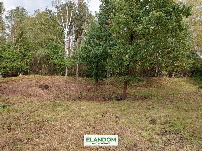 Działka Lipowo z wz. Cicha okolica