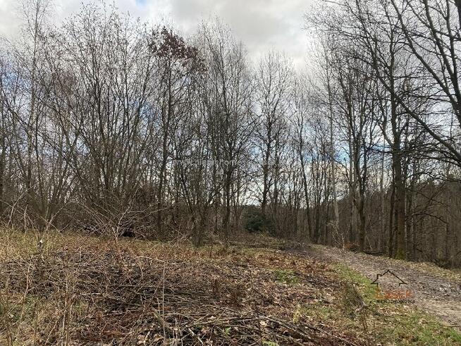 Działka rolno-budowlana Stanisław Górny gm. Wadowice