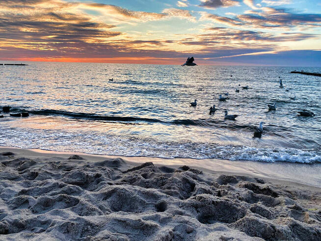 Działki pod studium około 1000 metrów od plaży