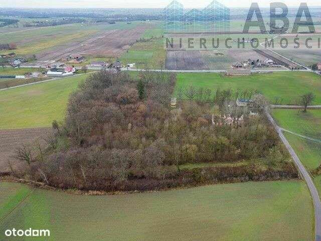 Dworek z pięknym, dużym parkiem w Racięcinie