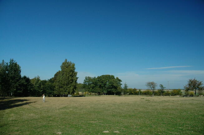 Do wynajęcia 19,19 ha