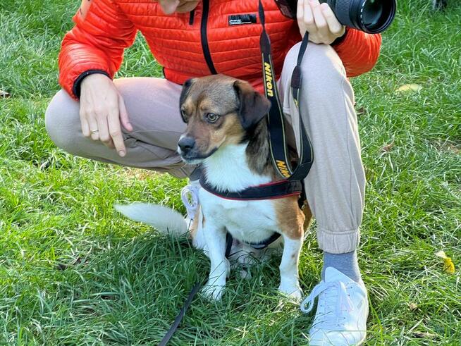 Bąbel, czekamy na odpowiedzialny dom