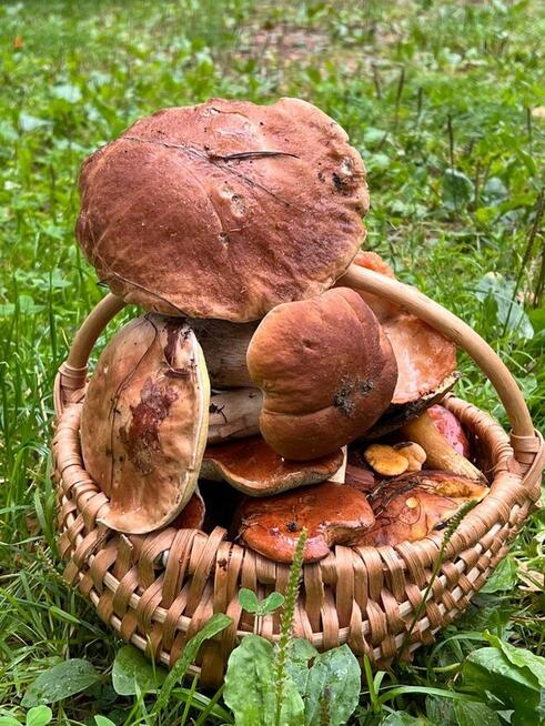 Całoroczny Drewniany Dom nad Jeziorem Głębokim na Kaszubach