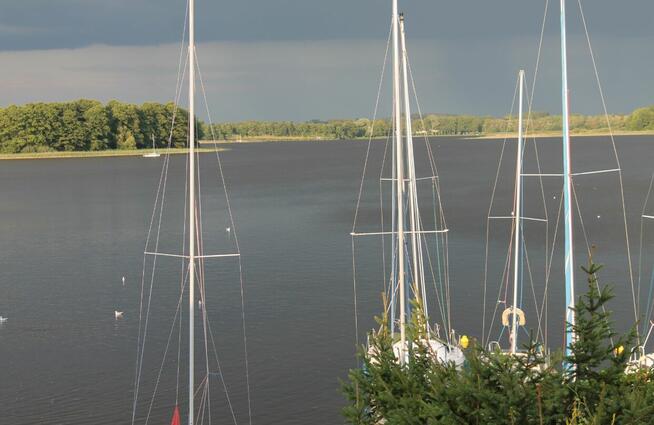 CZARTER SASANKA VIVA 700 lub OMEGA MIGDA SIEMIANY