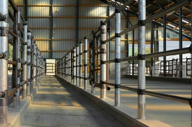 Jarbet. Firma budowlana. Układanie kostki brukowej. Nakło.