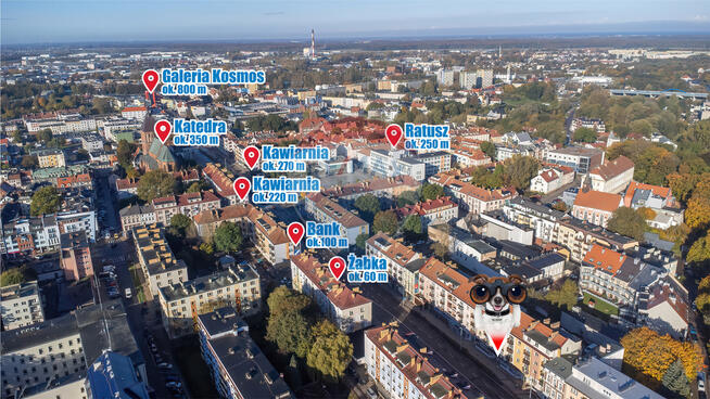 Lokal usługowy w ścisłym centrum Koszalina