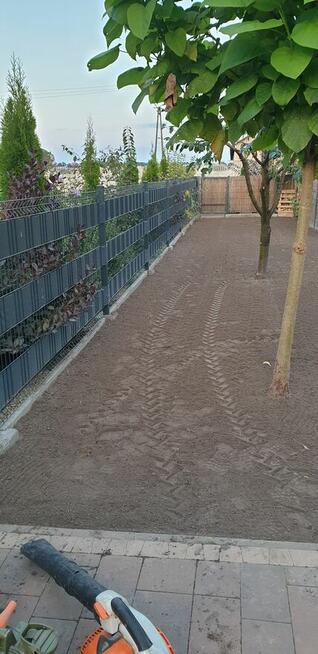 Usuwanie pni, karczowanie pni, usługi ogrodnicze