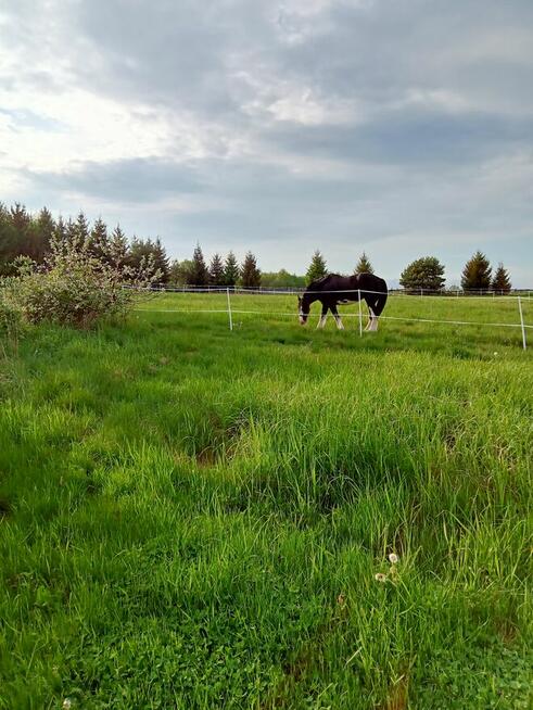Sprzedam dzialke obok Polanicy-Zdroju-SUDETY