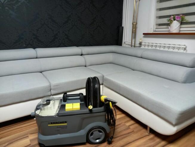 Pluskwy, Dezynfekcja, Dezynsekcja, Deratyzacja,