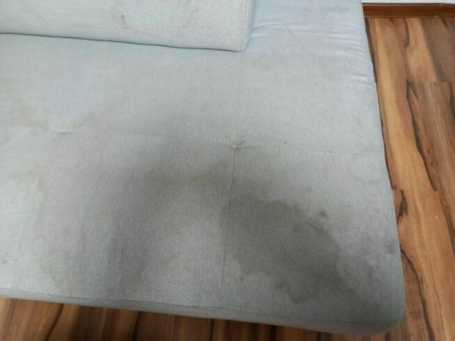 Profesjonalne Ozonowanie Dezynfekcja Dezynsekcja Deratyzacja