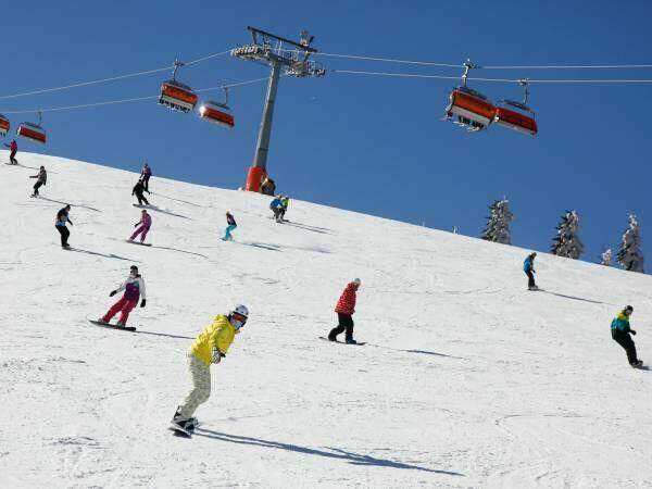 Sprzedam dzialke obok Polanicy-Zdroju-SUDETY