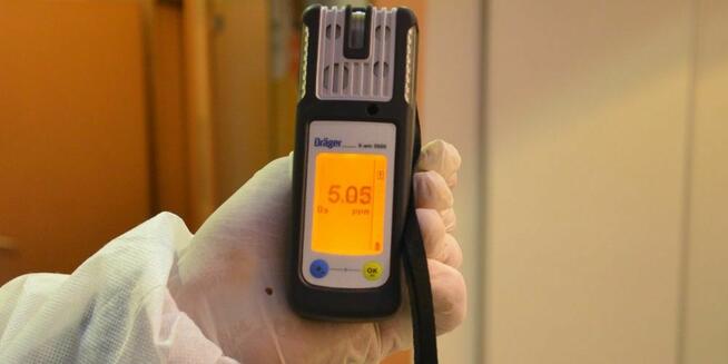 Usuwanie pluskiew pluskwy odpluskwianie, dezynsekcja