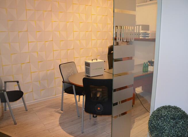 Profesjonalne Ozonowanie Dezynfekcja Dezynsekcja Deratyzacja