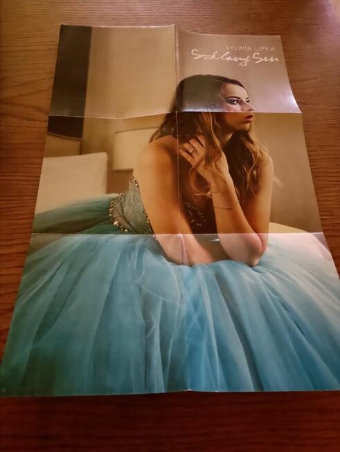 Plakat Sylwia Lipka Szklany Sen