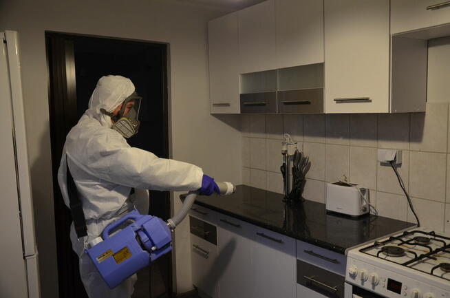 Pluskwy, Dezynfekcja, Dezynsekcja, Deratyzacja,