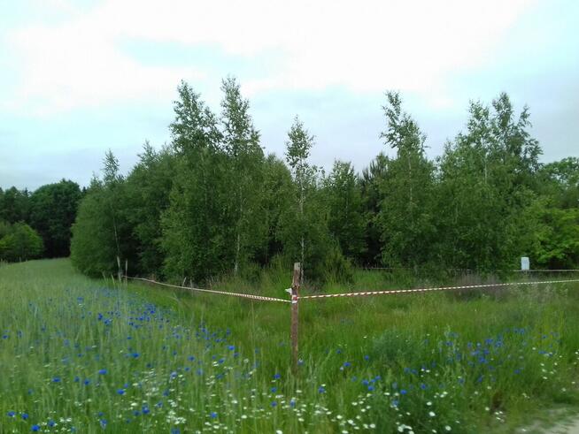 90 KM OD WARSZAWY 8 KM OD MAKOWA MAZ.