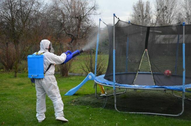 Usuwanie pluskiew pluskwy odpluskwianie, dezynsekcja