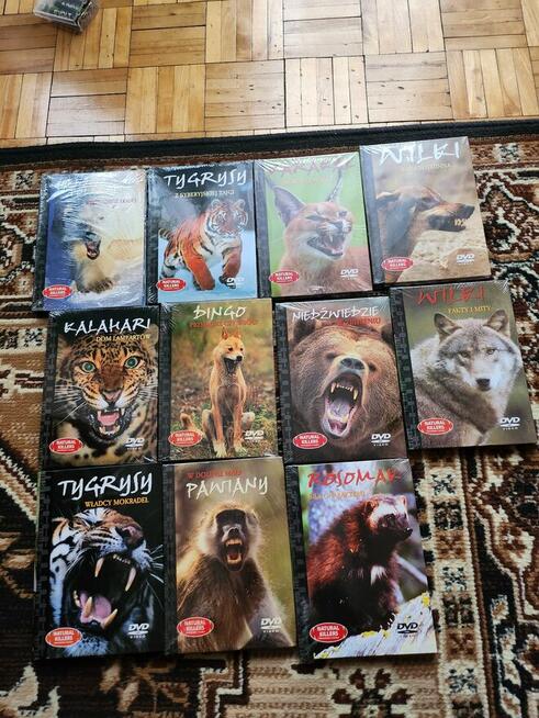Piękne filmy o zwierzętach na DVD