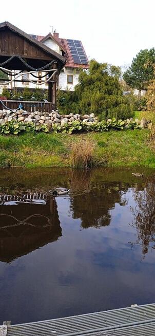 Wynajem pokoi gościnnych