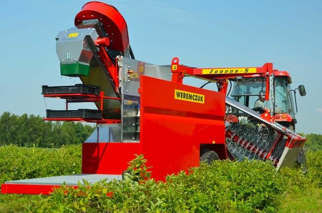 Półrzędowy kombajn do porzeczki, aronii, agrestu, jagody kam