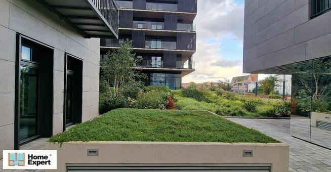 Lokal (248 m2) okolice Zyndrama z Maszkowic (Wrocław)