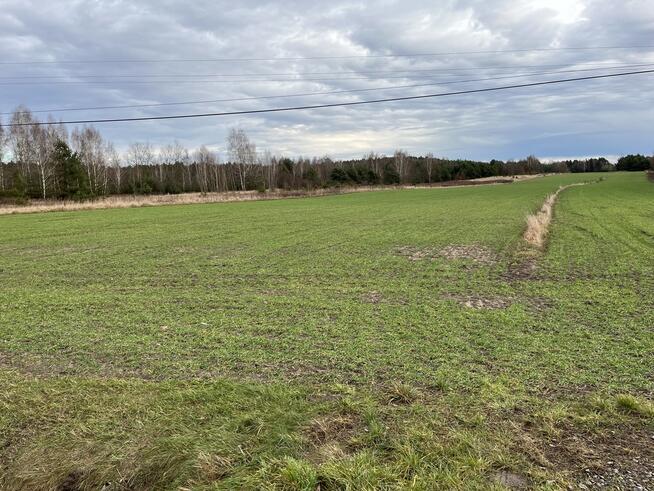 Duża działka inwestycyjna blisko Wisły w Kłudziu.