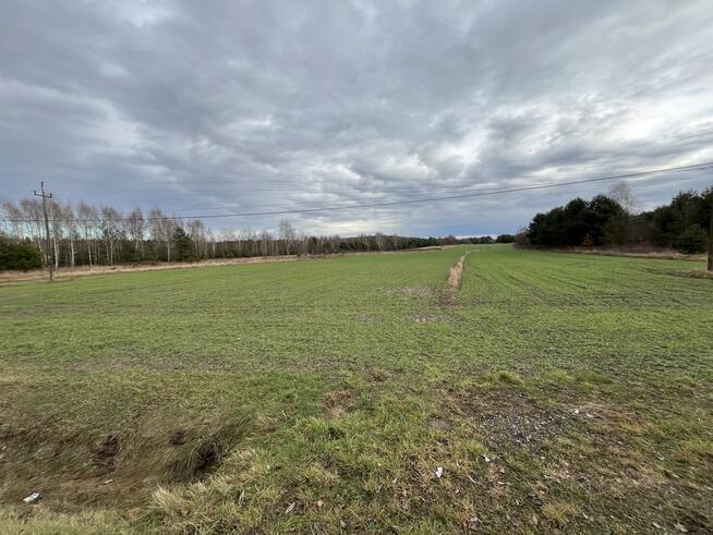 Duża działka inwestycyjna blisko Wisły w Kłudziu.