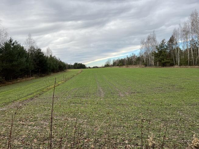 Duża działka inwestycyjna blisko Wisły w Kłudziu.