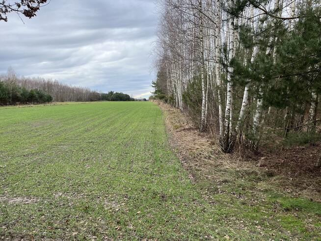 Duża działka inwestycyjna blisko Wisły w Kłudziu.