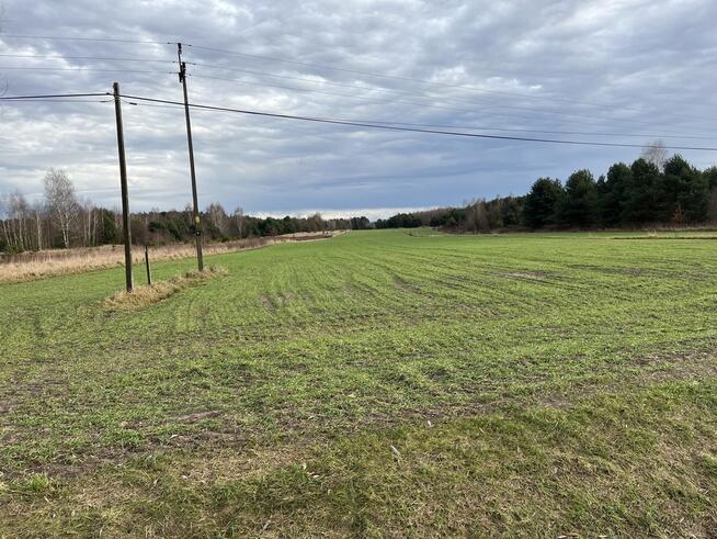 Duża działka inwestycyjna blisko Wisły w Kłudziu.