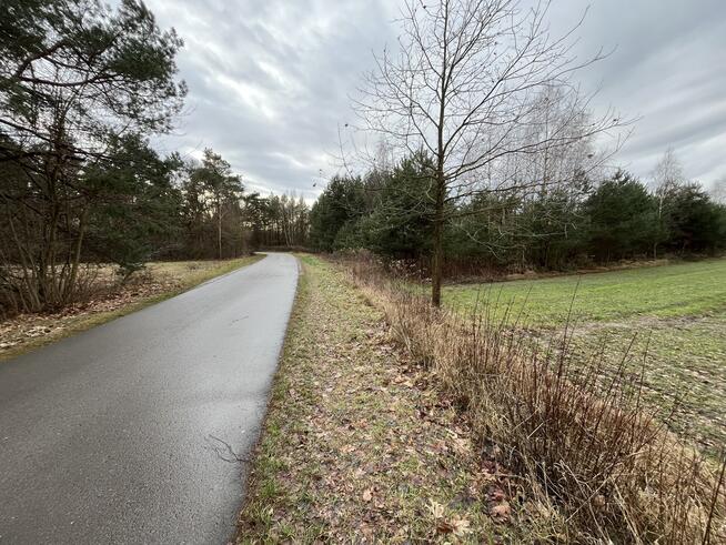 Duża działka inwestycyjna blisko Wisły w Kłudziu.