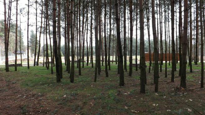 Wakacje NAD RZEKĄ domek letniskowy z działką, 42-110 Zawady