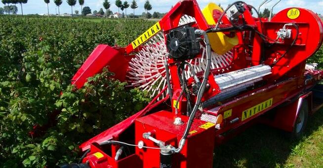 Półrzędowy kombajn do porzeczki, aronii, agrestu, jagody kam