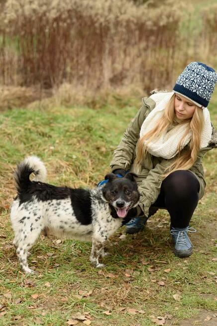 Wyjątkowy, smutny FELUŚ szuka kochającego domu !!