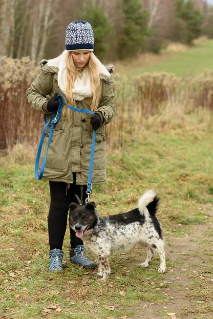 Śliczny, zrezygnowany FELUŚ szuka domu !!
