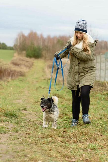 Wyjątkowy, smutny FELUŚ szuka kochającego domu !!