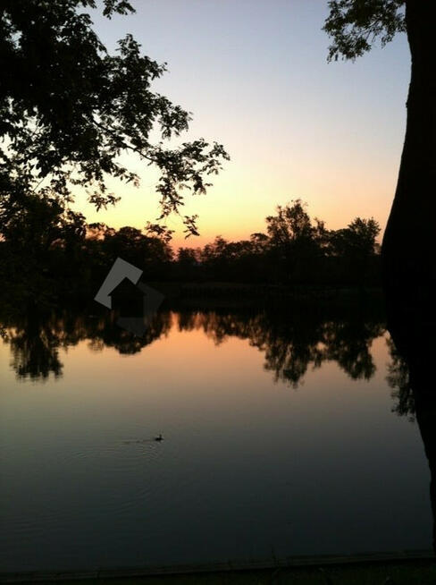 Unikatowa nieruchomość Starych Warszawskich Włoch