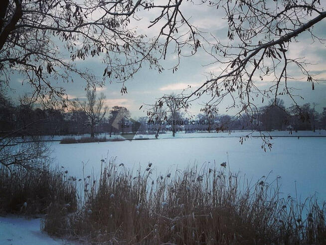 Unikatowa nieruchomość Starych Warszawskich Włoch
